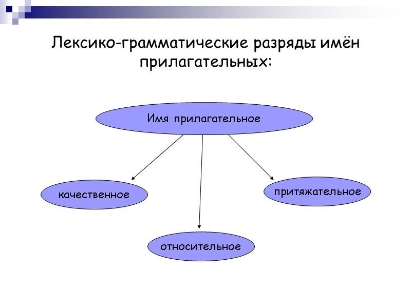 Лексико-грамматические разряды имён прилагательных:    Имя прилагательное качественное притяжательное относительное